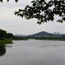 화랑유원지_경기도미술관주변 이미지