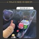 코르시암 이미지