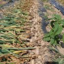 서대산농장 이미지