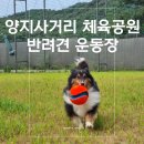 양지사거리체육공원 이미지