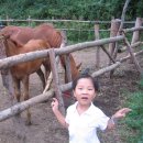 율곡농장 이미지