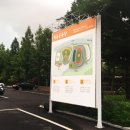 신월운동장 앞 이미지