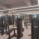 더멋짐피트니스 이미지