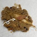 부곡동물병원 이미지