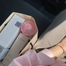 비바 인셀덤