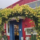 여항-2 | 함안 여항 맛집 레드인카페 유상달국수 비빔국수 맛있는 뷰맛집 운치있는 감성카페 드라이브 코스 추천