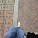 로즈모네 | 기록 / 내돈내산 안나앤로즈, 모반디 드레스, 원주...제작, 웨딩스냅 실패와 도전 / 결혼준비과정 솔직후기
