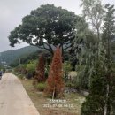 무쇠점길 네이버블로그