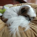 간식이모 이미지