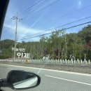 인제 | [강원 인제] 소양강 뷰 맛집 러빙네이쳐 캠핑장후기 (명당 C구역, 부대시설, 봄캠핑)
