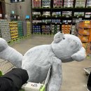 이마트24 김해골든점 | 대형견 골든리트리버 옷 쇼핑하울 큰강아지 2번째 후기