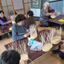 사비아로마