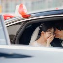 내추럴폼스