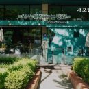 개포별빛동물병원 네이버블로그