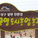 팔현농장 네이버블로그