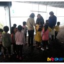 대흥초 병설유치원 이미지