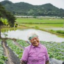 큰골영농조합법인 이미지