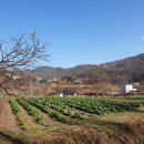 상영천 | 무성산(613m)-홍길동 이야기를 그려보며 걷자꾸나