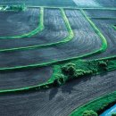 미르농장 이미지