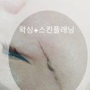 미네일앤스킨