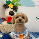 위드뚜뚜 이미지