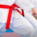 용인대박사백호태권도장 이미지