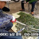 이정호농장 이미지