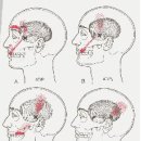 두통(Headache)과 근육 ; 월간 에스테인 2010년 6월호 이미지