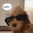 왁싱하리 - 강남구 선릉로 431 | 왁싱하리