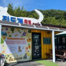 진도개 53카페 이미지