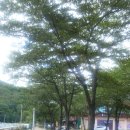 보경사고향식당 네이버블로그