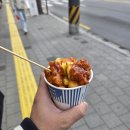 컵짱 이미지