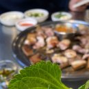 내껍데기 돌려도 이미지