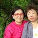 무을초교 이미지