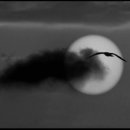 구름에달가듯이 이미지