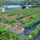 우심농장 이미지