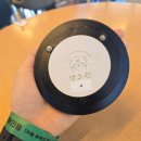 뚜뚜애견 | 김포 애견카페 댕그린 후기 봉뚜루 1회차 모임