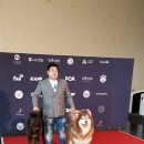 퍼피스타 이미지