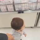 리오마트
