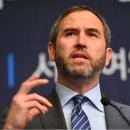 리플하우스 이미지