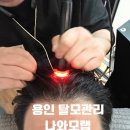 5875 | 용인탈모 나와모랩 탈모두피전문 용인1호점에서 항산화관리 받은 후기