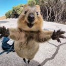 진이네화장품 | 월간 진이 - 12월호 (1)