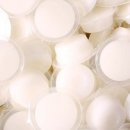 대구곤충마트 이미지