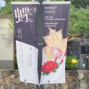 일상_蝶(접) - 삶이 춤이로다 이미지