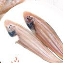 군산박대