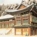 태자수선 Daum카페