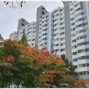 명성부동산중개공인중개사사무소 이미지