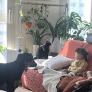 원희농장 이미지