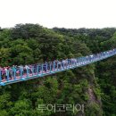 원주시 관광안내소 이미지