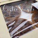 (주)세일 | 코스트코 세일 1월 셋째 주 새로 나온 할인 상품